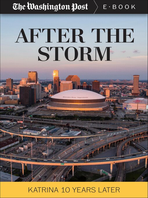 Title details for After the Storm by The Washington Post - Available